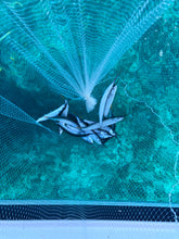 Load image into Gallery viewer, Ballyhoo Bait Net - Collapsible Hoop Net - Folds For Easy Storage