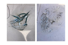 Load image into Gallery viewer, Ballyhoo Bait Net - Collapsible Hoop Net - Folds For Easy Storage