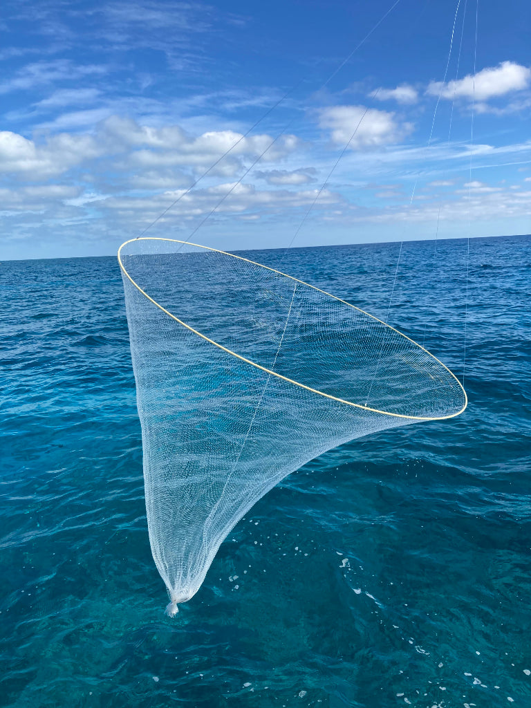 Ballyhoo Bait Net - Collapsible Hoop Net